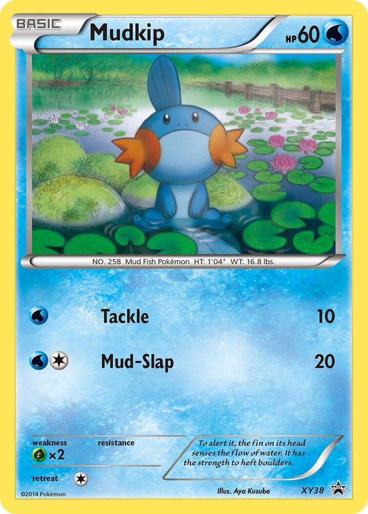 Mudkip XY38 card from XY Promos