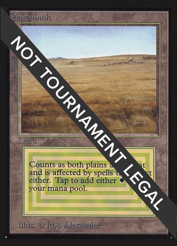 Savannah (IE) card from International Edition
