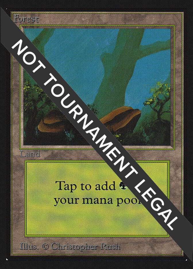 Forest (A) (IE) 280 card from International Edition
