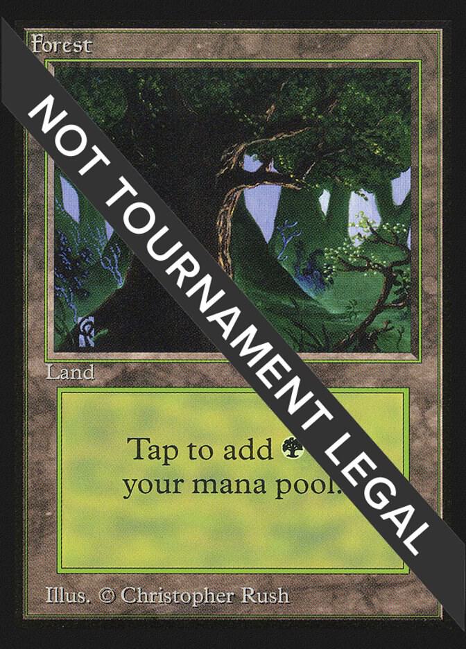 Forest (C) (IE) 282 card from International Edition