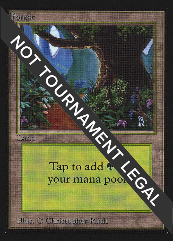 Forest (B) (CE) 281 card from Collector's Edition