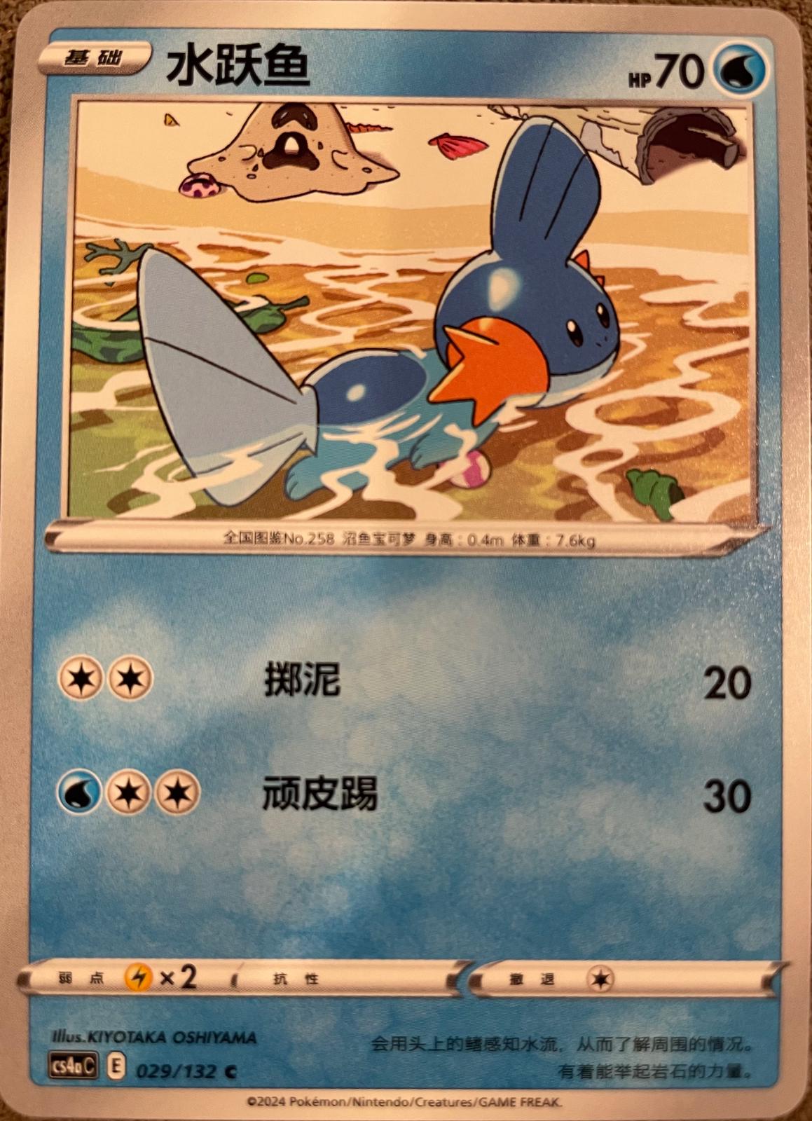 Mudkip #29 card from CS4aC
