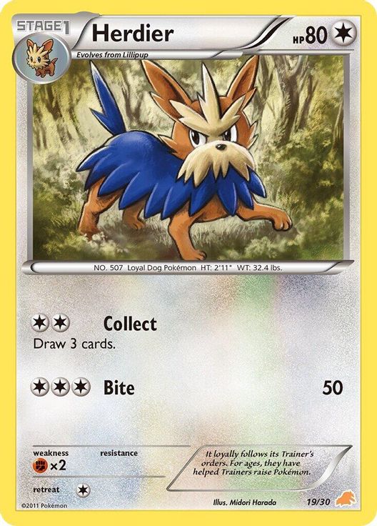 Herdier 19/30 card from BW Trainer Kit: Excadrill & Zoroark